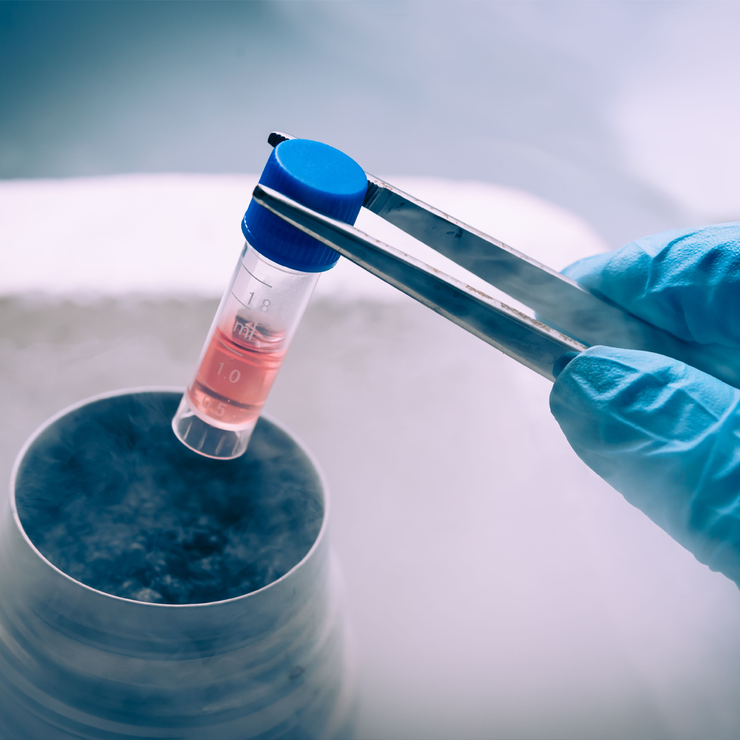 Best Surrogacy With Frozen Embroys Centre in India